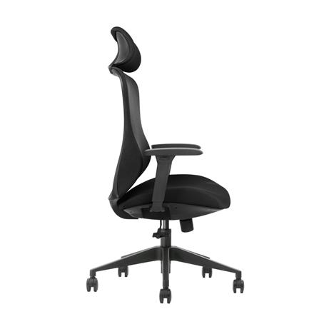 เก้าอี้สุขภาพ BEWELL FOSTER GEN 2 สีดำ_1