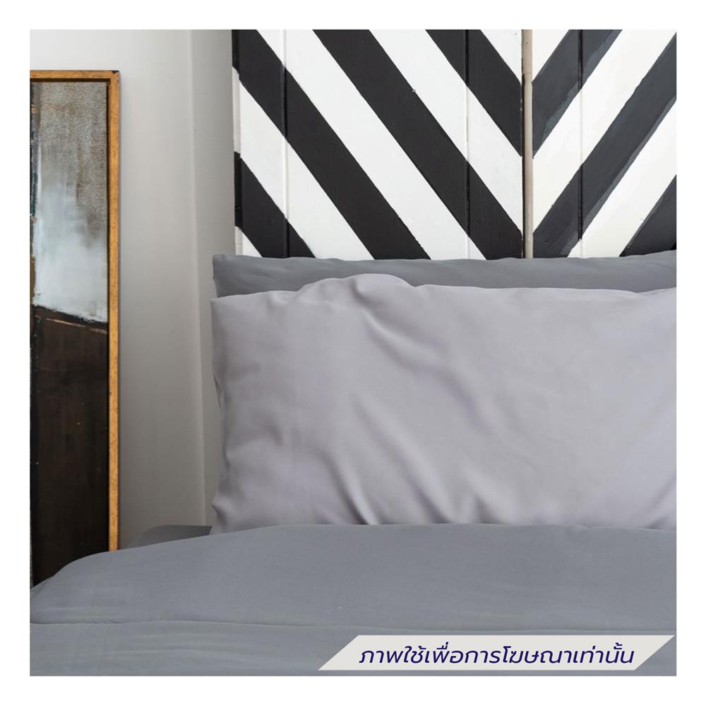 ชุดผ้าปูที่นอน 5 ฟุต (ชุด 6 ชิ้น) SANTA BEDDING สี DARK GREY/LIGHT GREY