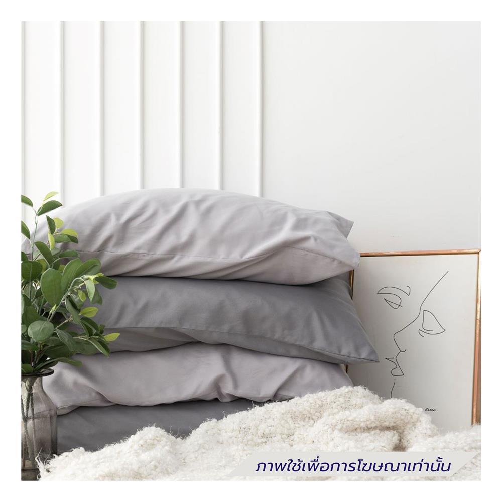 ชุดผ้าปูที่นอน 5 ฟุต (ชุด 6 ชิ้น) SANTA BEDDING สี DARK GREY/LIGHT GREY