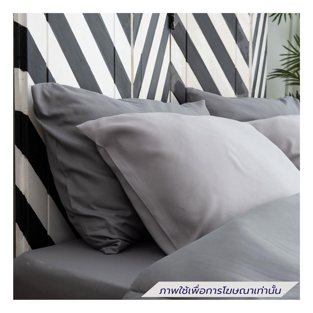 ชุดผ้าปูที่นอน 6 ฟุต (ชุด 6 ชิ้น) SANTA BEDDING สี DARK GREY/LIGHT GREY