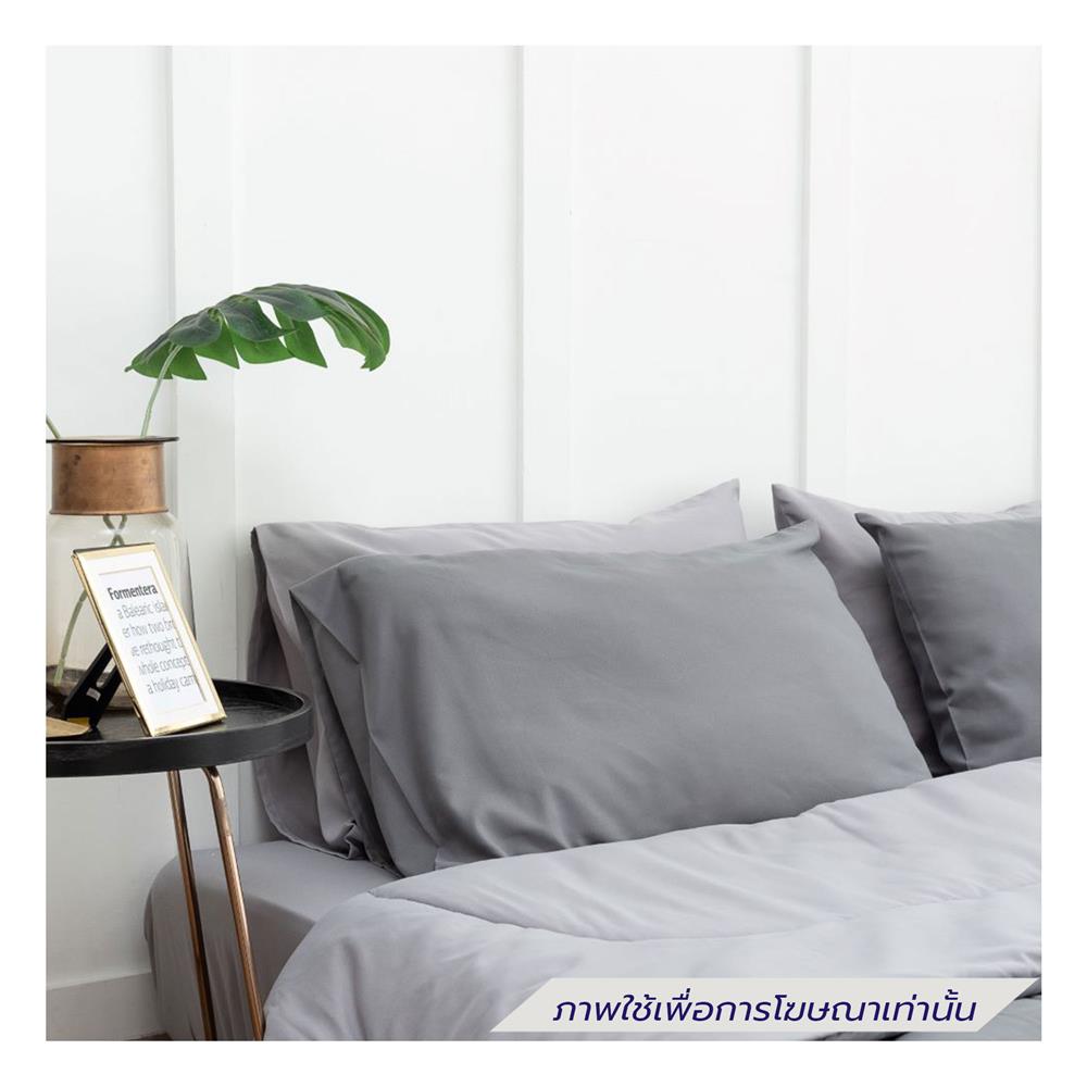 ชุดผ้าปูที่นอน 5 ฟุต (ชุด 6 ชิ้น) SANTA BEDDING สี LIGHT GREY/DARK GREY
