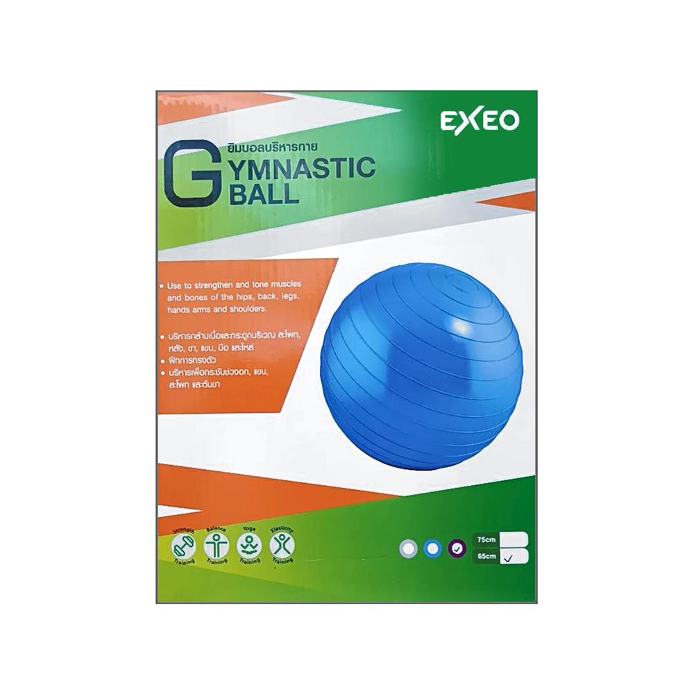 ลูกบอลโยคะ EXEO AB8102 65 ซม. สีม่วง + ที่สูบลมแบบเหยียบ