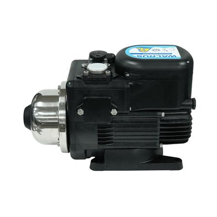 ปั๊มน้ำอัตโนมัติ WALRUS PUMP WQ400BC 370 วัตต์_3
