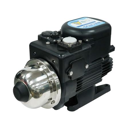 ปั๊มน้ำอัตโนมัติ WALRUS PUMP WQ200BC 180 วัตต์_2
