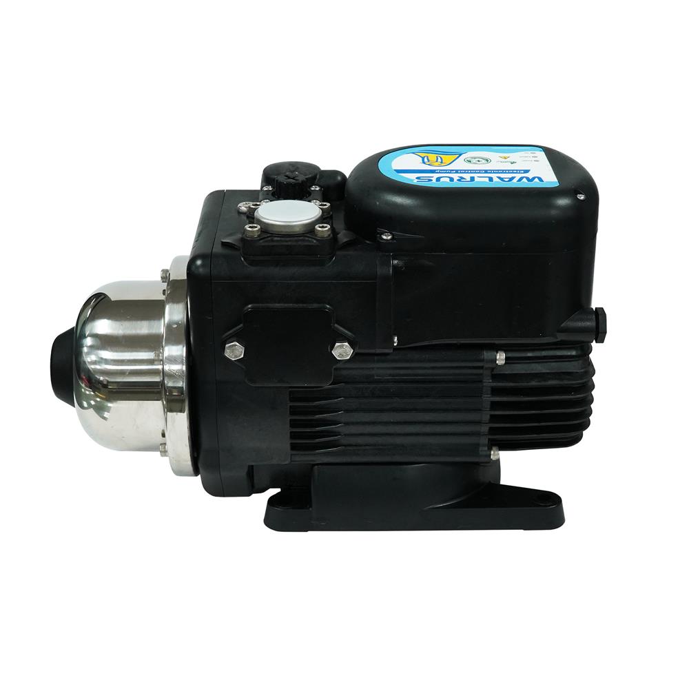 ปั๊มน้ำอัตโนมัติ WALRUS PUMP WQ800BC 750 วัตต์
