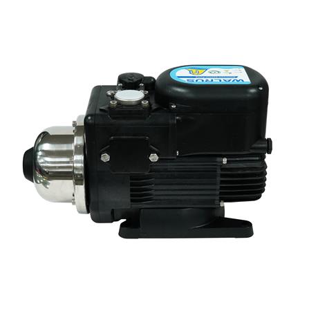 ปั๊มน้ำอัตโนมัติ WALRUS PUMP WQ800BC 750 วัตต์_3