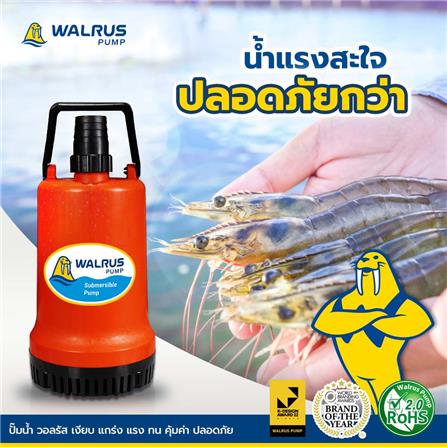 ปั๊มจุ่มน้ำสะอาด WALRUS PUMP PW250AF 250 วัตต์_1