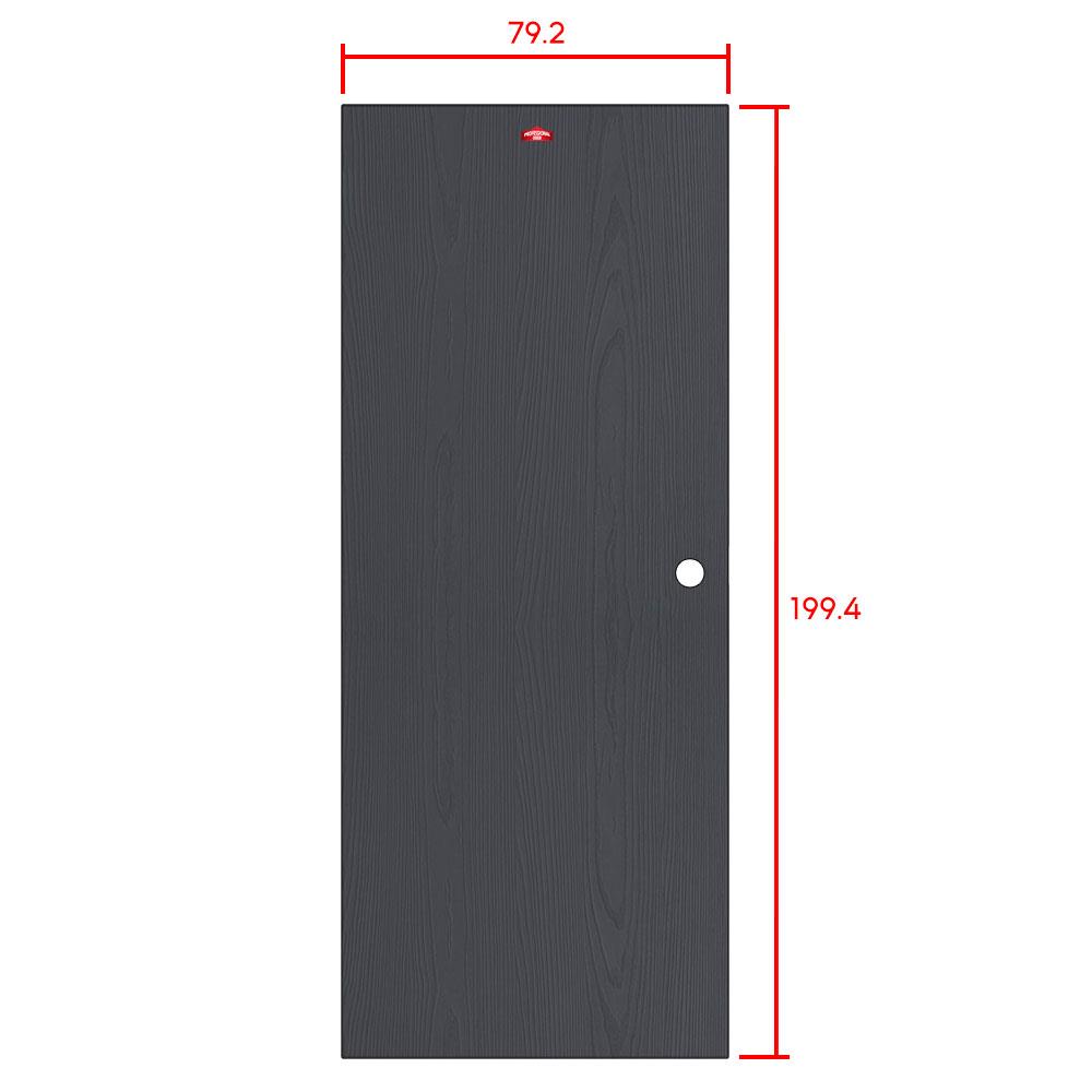 ประตูภายนอกเหล็ก เจาะลูกบิด PROFESSIONAL DOOR WD1BK 79.2x199.4 สีเทาเม็ดทราย