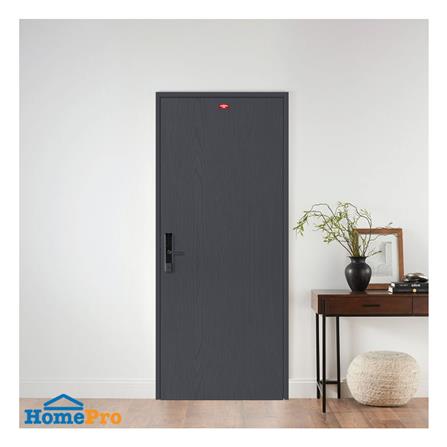ประตูภายนอกเหล็ก เจาะลูกบิด PROFESSIONAL DOOR WD1BK 79.2x199.4 สีเทาเม็ดทราย_2