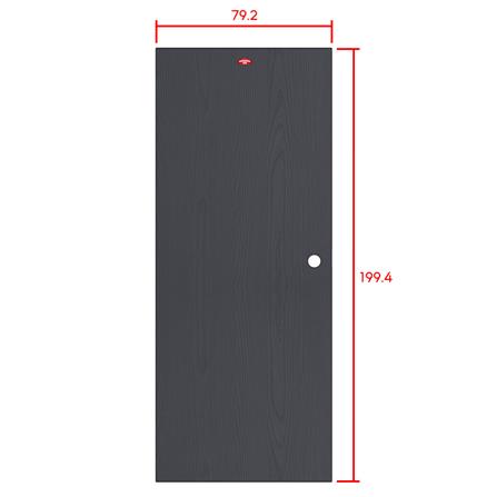 ประตูภายนอกเหล็ก เจาะลูกบิด PROFESSIONAL DOOR WD1BK 79.2x199.4 สีเทาเม็ดทราย_6