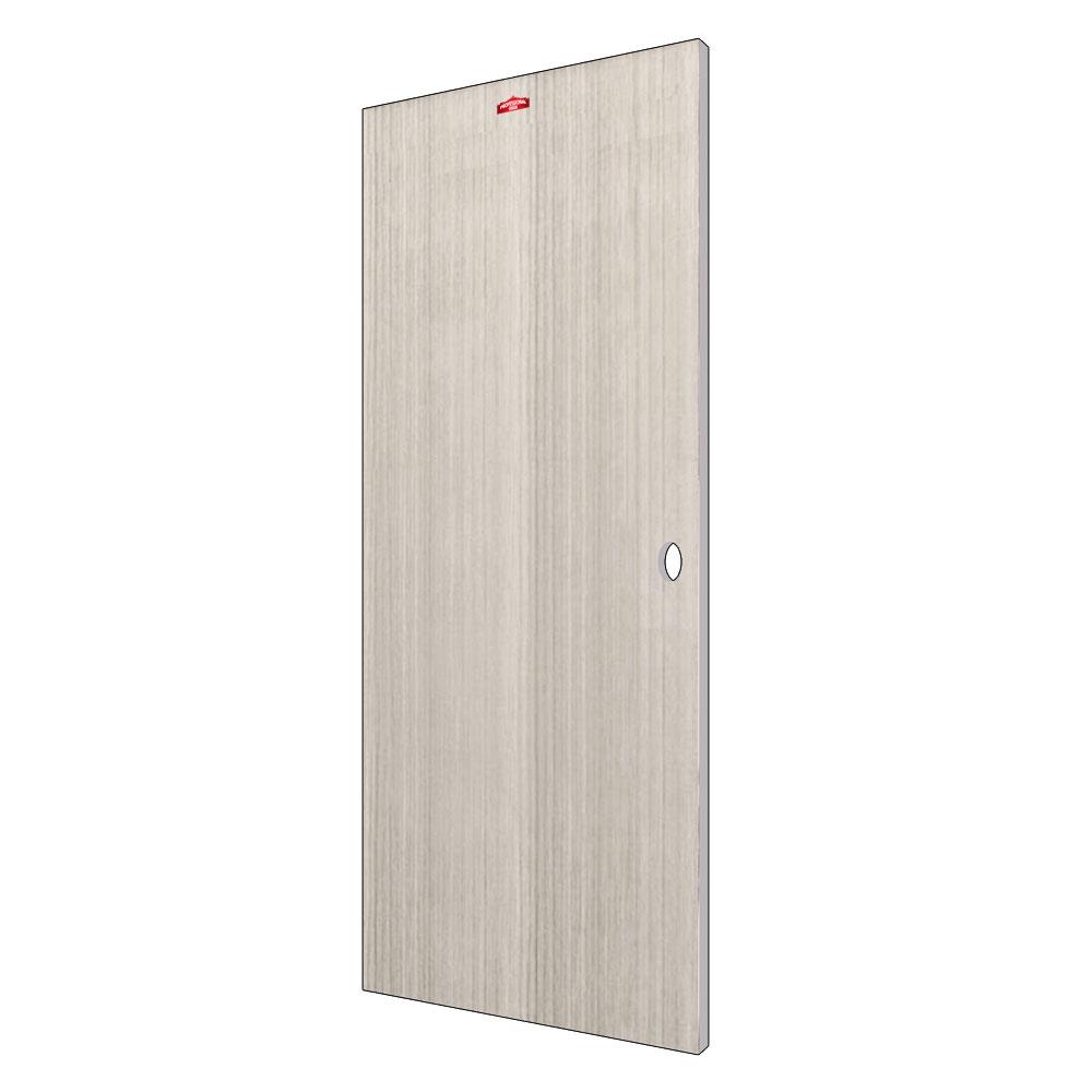 ประตูภายในเหล็ก เจาะลูกบิด PROFESSIONAL DOOR D2-41 89.2x199.4 ซม. สีเทา