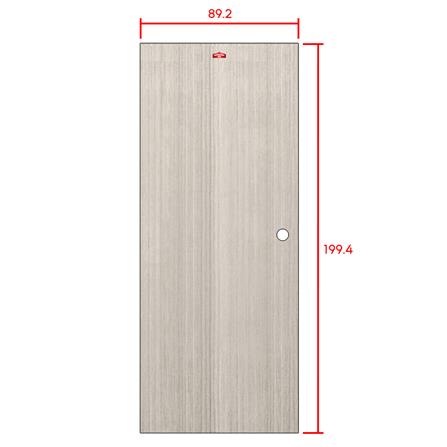 ประตูภายในเหล็ก เจาะลูกบิด PROFESSIONAL DOOR D2-41 89.2x199.4 ซม. สีเทา_5