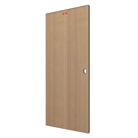 ประตูภายในเหล็ก เจาะลูกบิด PROFESSIONAL DOOR D2-40 89.2x199.4 ซม. สีน้ำตาล_1