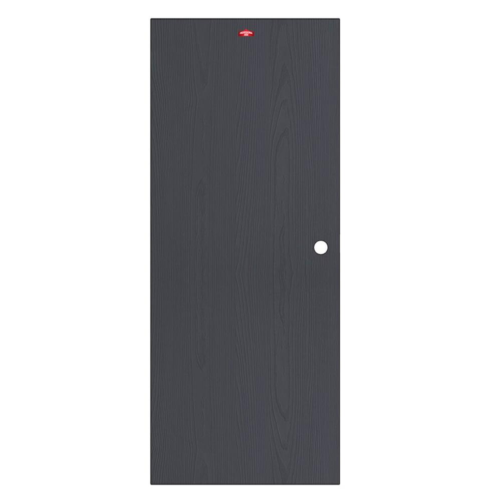 ประตูภายนอกเหล็ก เจาะลูกบิด PROFESSIONAL DOOR WD2BK 89.2x199.4 ซม. สีเทาเม็ดทราย