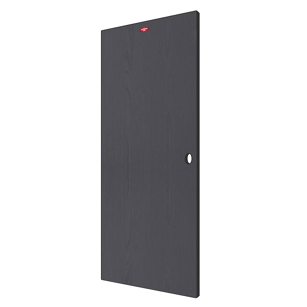 ประตูภายนอกเหล็ก เจาะลูกบิด PROFESSIONAL DOOR WD2BK 89.2x199.4 ซม. สีเทาเม็ดทราย