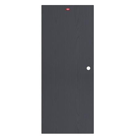 ประตูภายนอกเหล็ก เจาะลูกบิด PROFESSIONAL DOOR WD2BK 89.2x199.4 ซม. สีเทาเม็ดทราย