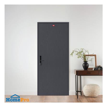 ประตูภายนอกเหล็ก เจาะลูกบิด PROFESSIONAL DOOR WD2BK 89.2x199.4 ซม. สีเทาเม็ดทราย_2