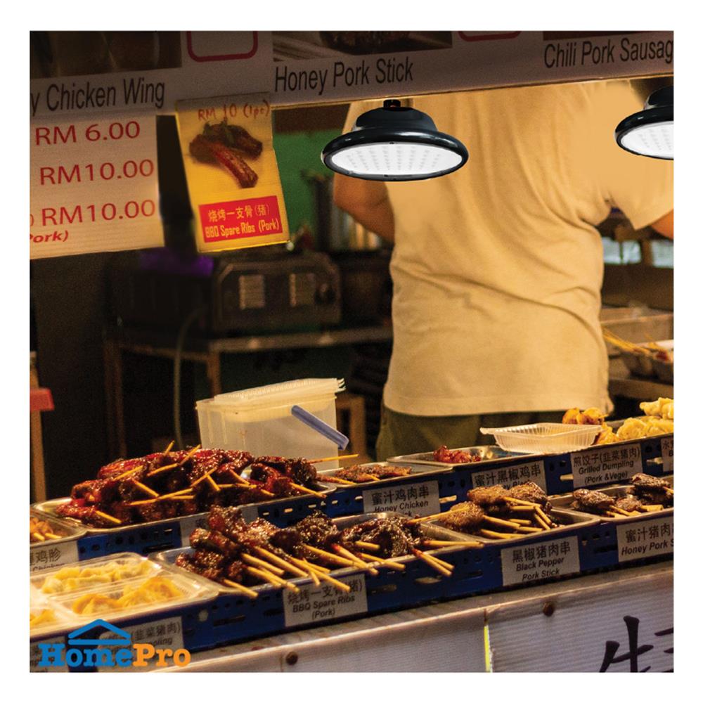 ไฟจัดสวน SOLAR SHINING S-LB15065C-1SL 150 วัตต์ DAYLIGHT สีดำ