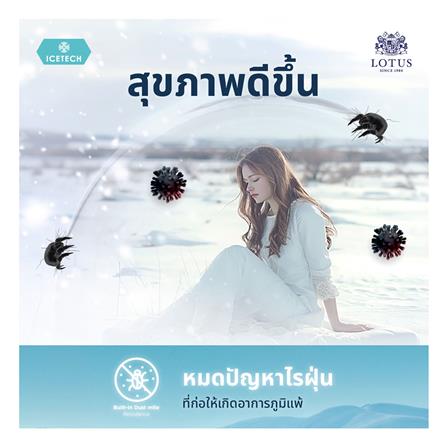 ผ้ารองกันเปื้อน QUEEN SIZE LOTUS ICETECH สี WHITE_15