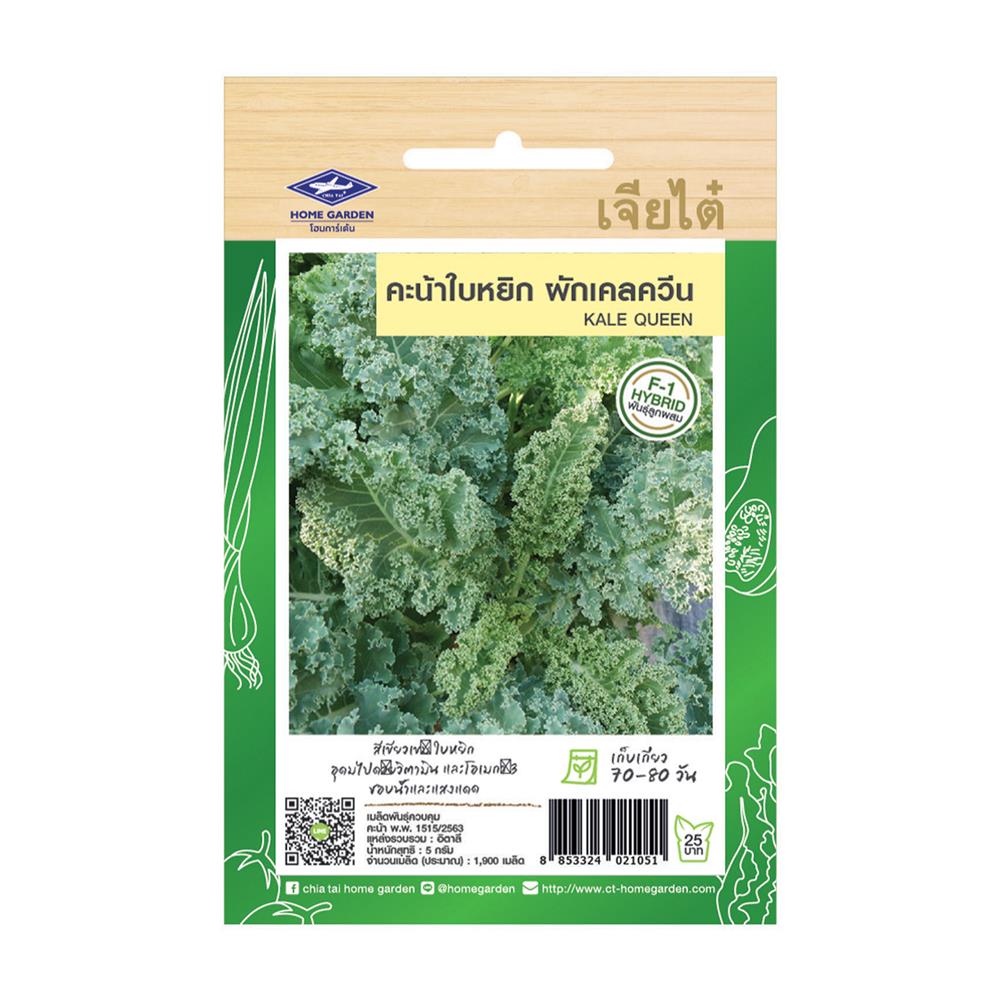 เมล็ดพันธุ์ผักเคลควีน ตราเจียไต๋