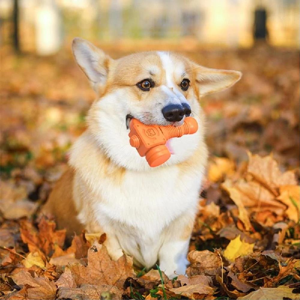 ของเล่นสุนัข MOMOVIDA DT-13 สีส้ม