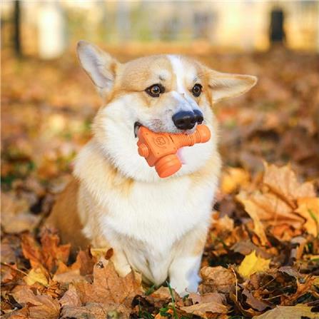 ของเล่นสุนัข MOMOVIDA DT-13 สีส้ม_1