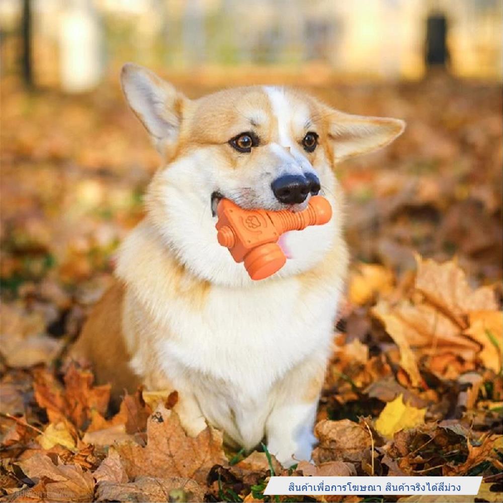 ของเล่นสุนัข MOMOVIDA DT-13 สีม่วง