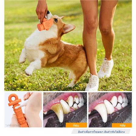 ของเล่นสุนัข MOMOVIDA DT-13 สีม่วง_2