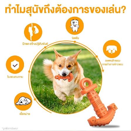 ของเล่นสุนัข MOMOVIDA DT-14 สีม่วง_2