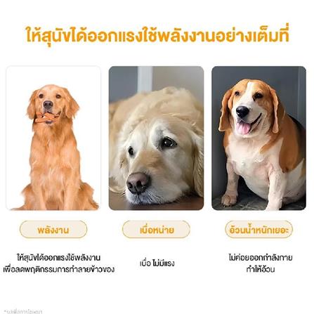 ของเล่นสุนัข MOMOVIDA DT-14 สีม่วง_4