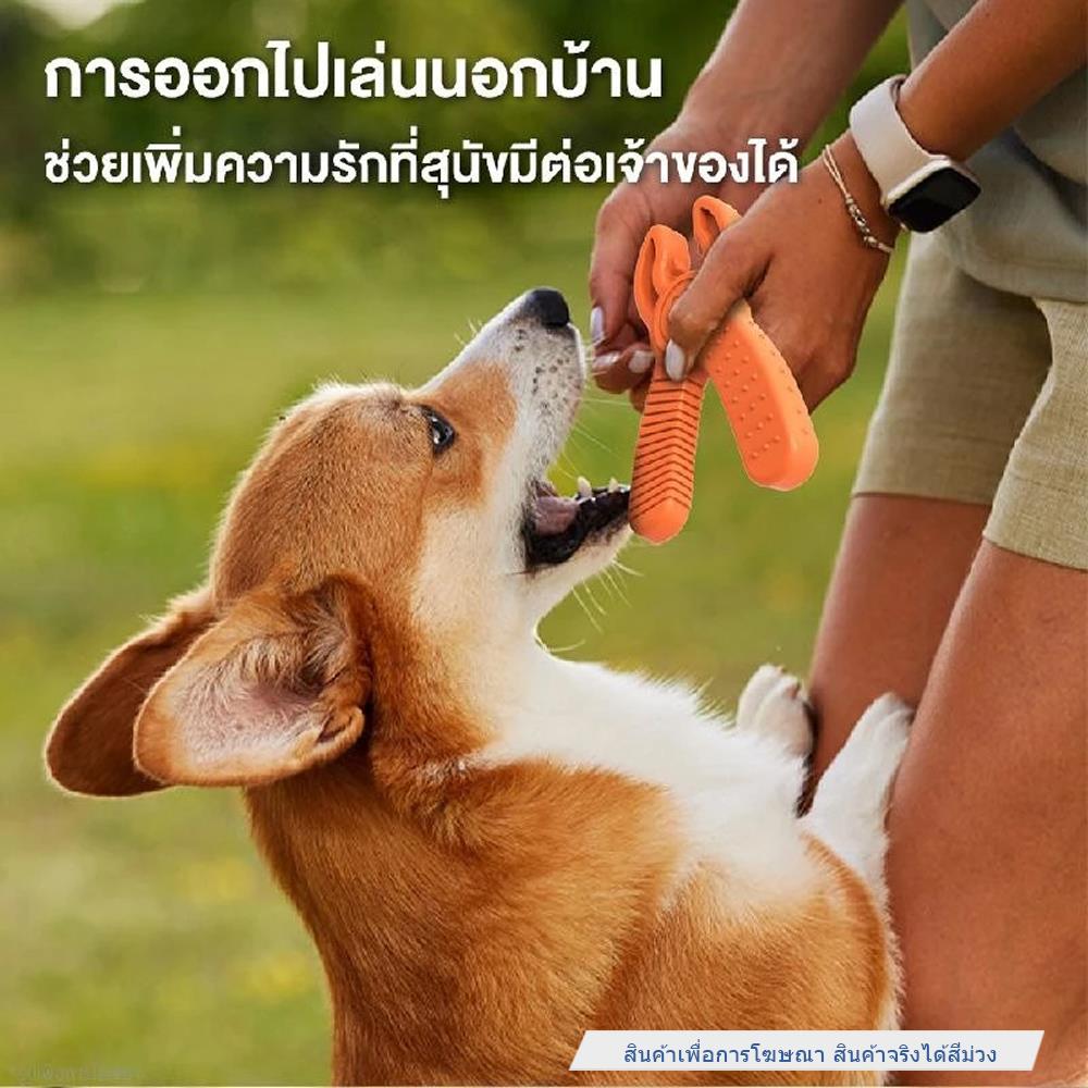 ของเล่นสุนัข MOMOVIDA DT-12 สีม่วง