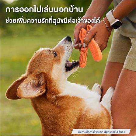 ของเล่นสุนัข MOMOVIDA DT-12 สีม่วง_1