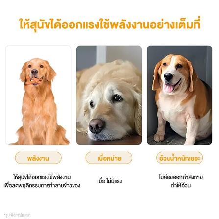 ของเล่นสุนัข MOMOVIDA DT-11 สีม่วง_2