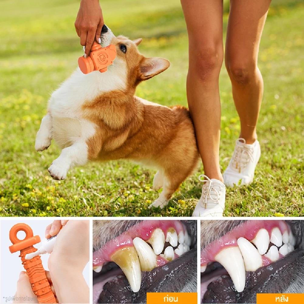 ของเล่นสุนัข MOMOVIDA DT-11 สีส้ม