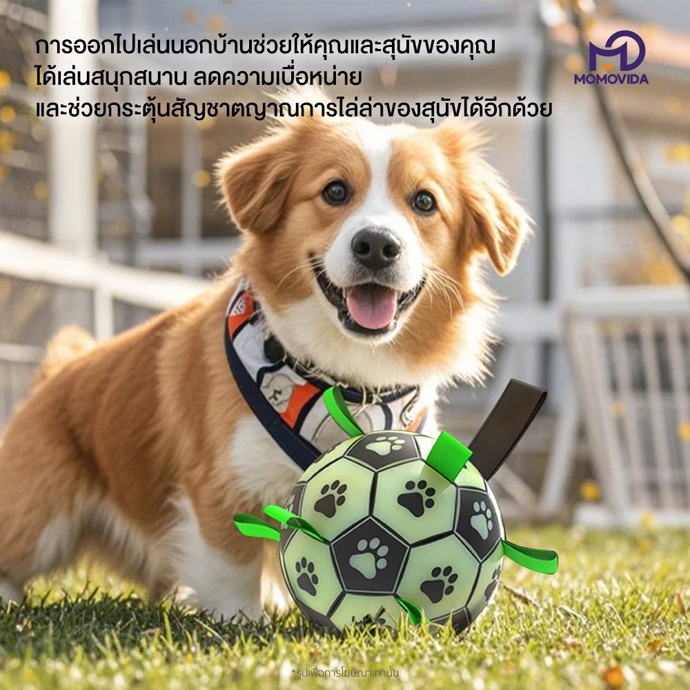 ของเล่นสุนัข MOMOVIDA LUMINOUS FOOTBALL DT-8L สีเขียว