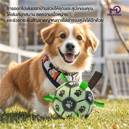 ของเล่นสุนัข MOMOVIDA LUMINOUS FOOTBALL DT-8L สีเขียว_1