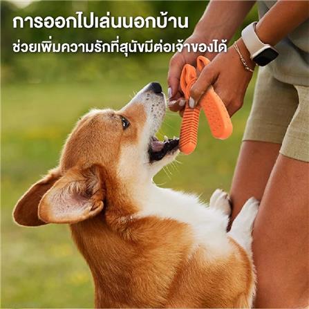 ของเล่นสุนัข MOMOVIDA DT-12 สีส้ม_2