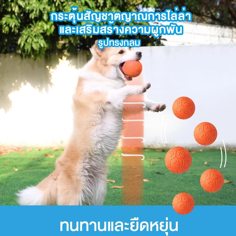 ของเล่นสุนัข MOMOVIDA RUBBER FOOTBALL DT-15 สีม่วง