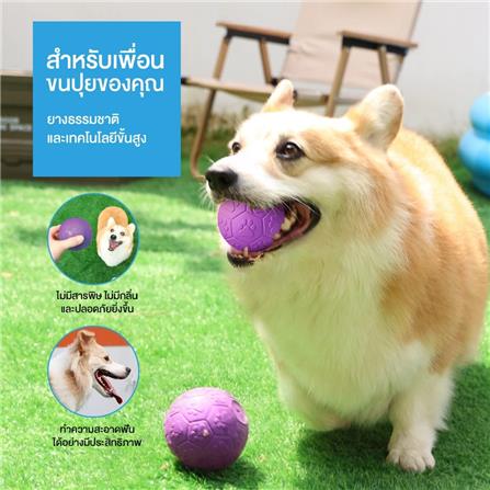 ของเล่นสุนัข MOMOVIDA RUBBER FOOTBALL DT-15 สีม่วง_2
