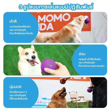 ของเล่นสุนัข MOMOVIDA RUBBER FOOTBALL DT-15 สีม่วง_3