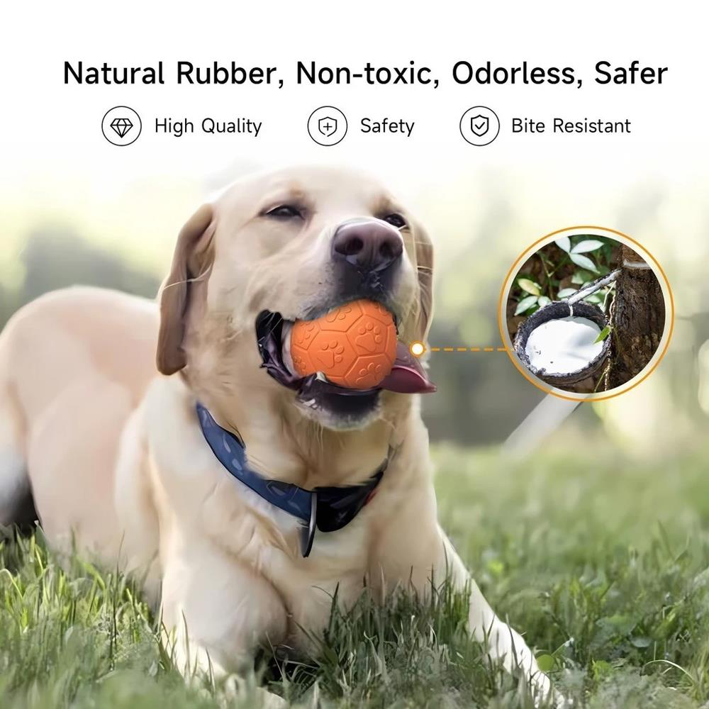 ของเล่นสุนัข MOMOVIDA RUBBER FOOTBALL DT-15 สีส้ม