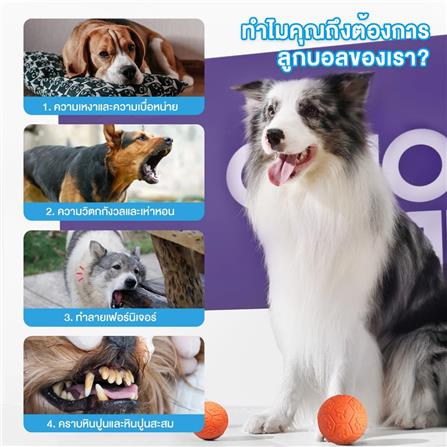 ของเล่นสุนัข MOMOVIDA RUBBER FOOTBAL DT-15L สีม่วง_3