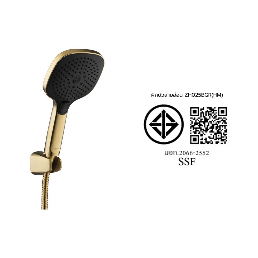 ชุดฝักบัวสายอ่อน 3 ระดับ COTTO ZH025BGR(HM)