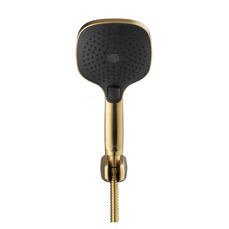 ชุดฝักบัวสายอ่อน 3 ระดับ COTTO ZH025BGR(HM)_1