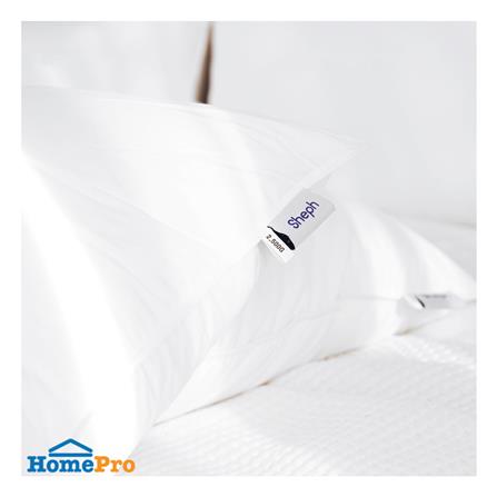 หมอนหนุน ไมโครไฟเบอร์ SHEPH KING 24x35 นิ้ว สีขาว_2