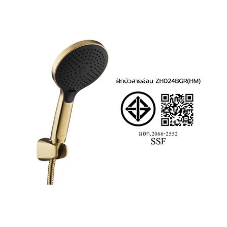 ฝักบัวสายอ่อน 3 ระดับ COTTO ZH024BGR(HM)_4