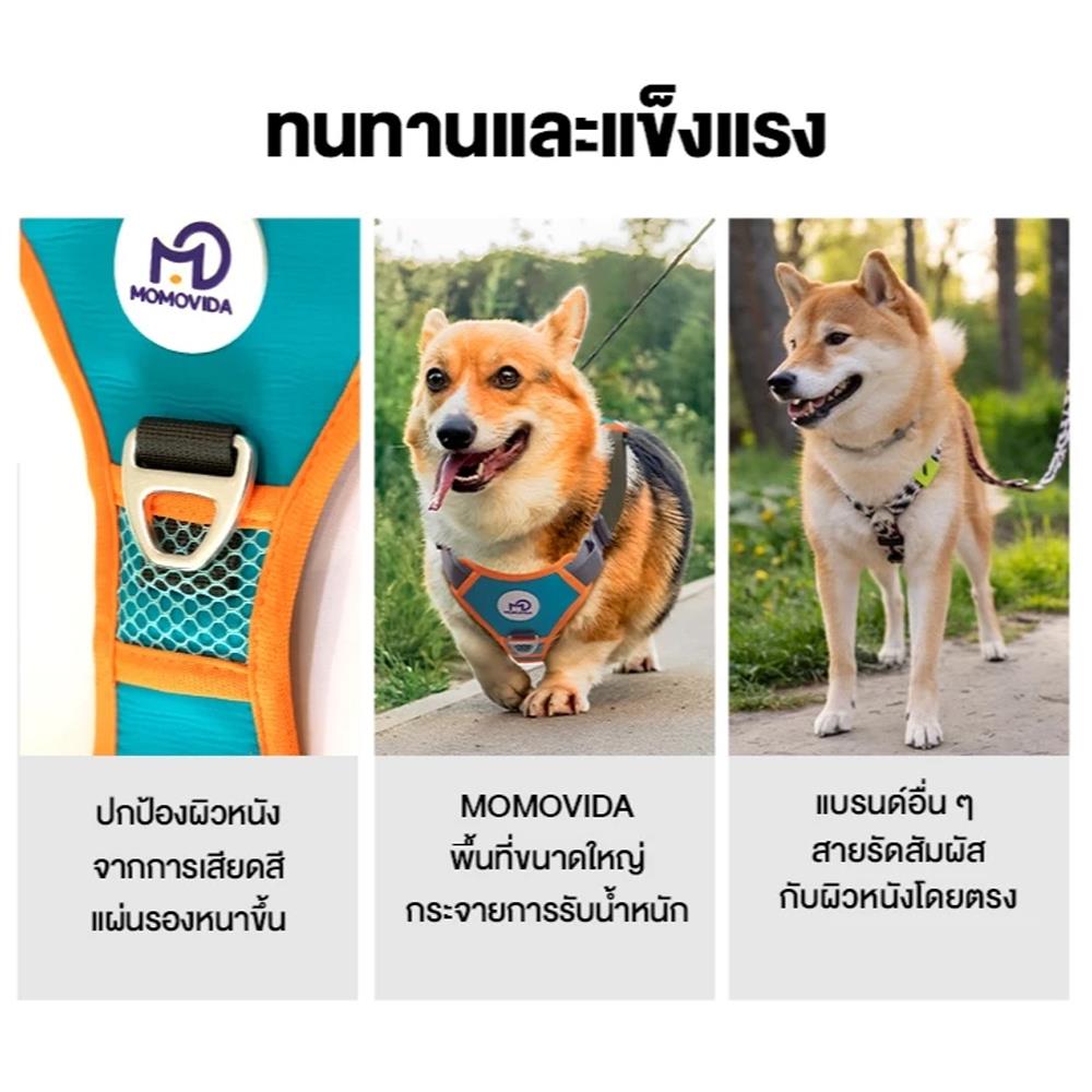 สายจูงสุนัข MOMOVIDA DL-S สีเขียว