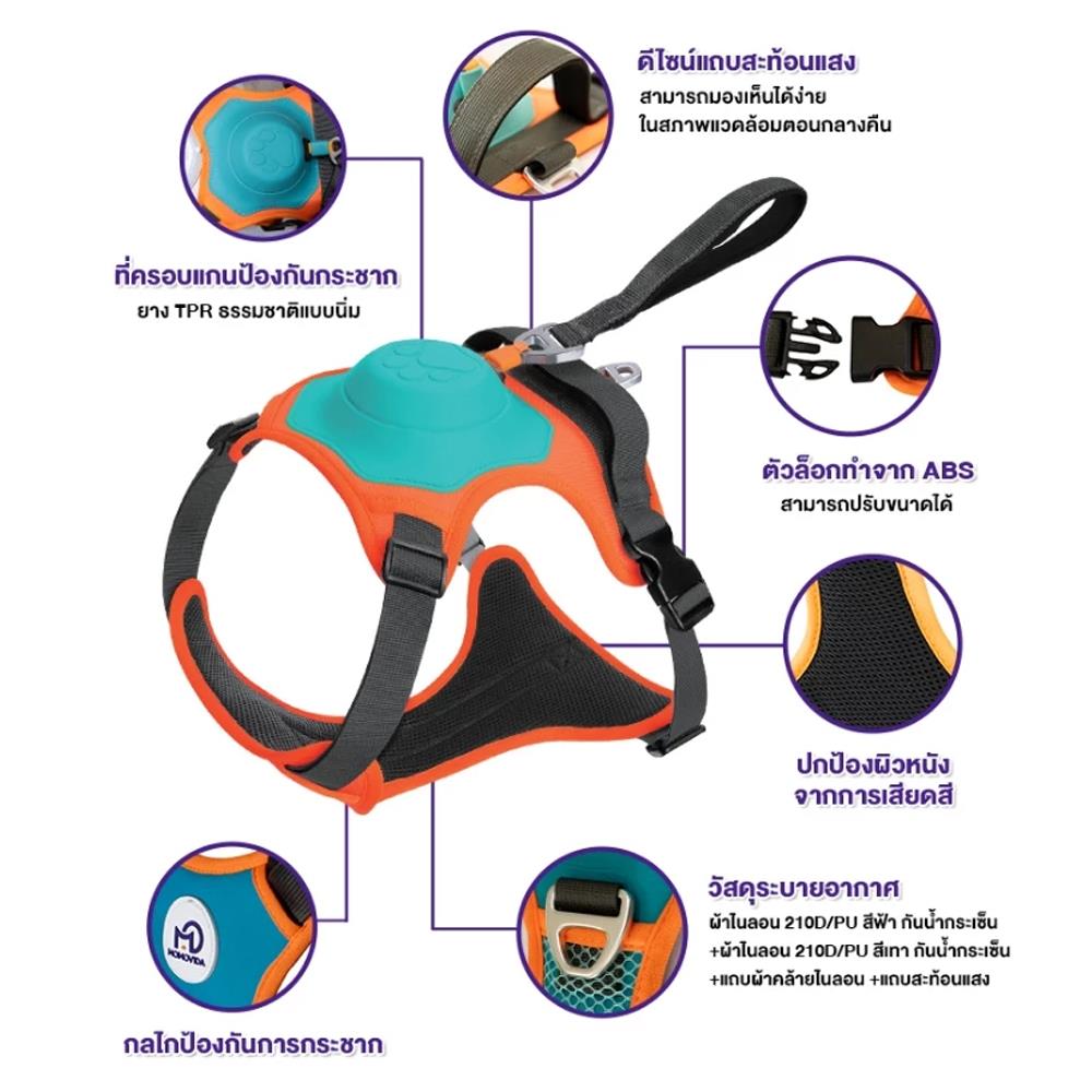 สายจูงสุนัข MOMOVIDA DL SIZE XL สีเขียว