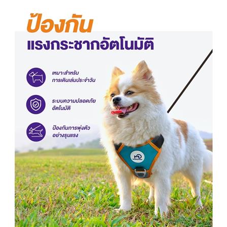 สายจูงสุนัข MOMOVIDA DL SIZE XL สีเขียว_3