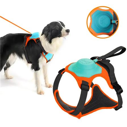 สายจูงสุนัข MOMOVIDA DL SIZE XL สีเขียว_1